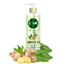 415245_02_Sunsilk_ប្រឆាំងនិងអង្គែ_400ml.webp