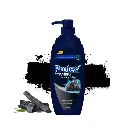 417166_02_Protex_សាប៊ូដូសខ្លួនបុរសផ្សំពីធ្យូង_450ml.webp