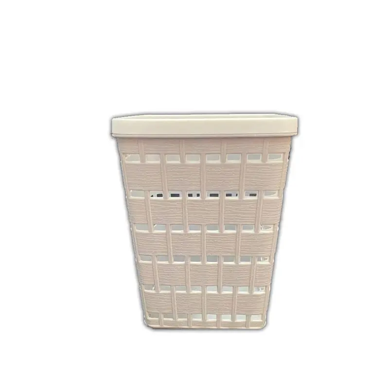 Plastic-កន្ត្រកផ្លាស្ទិចពណ៏ស