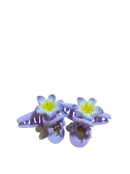 055-ដង្កៀបសក់ផ្កាគូ