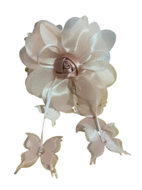 244-ដង្កៀបកៀបសក់ផ្កាក្រណាត់រលោងនិងមេអំបៅគូ