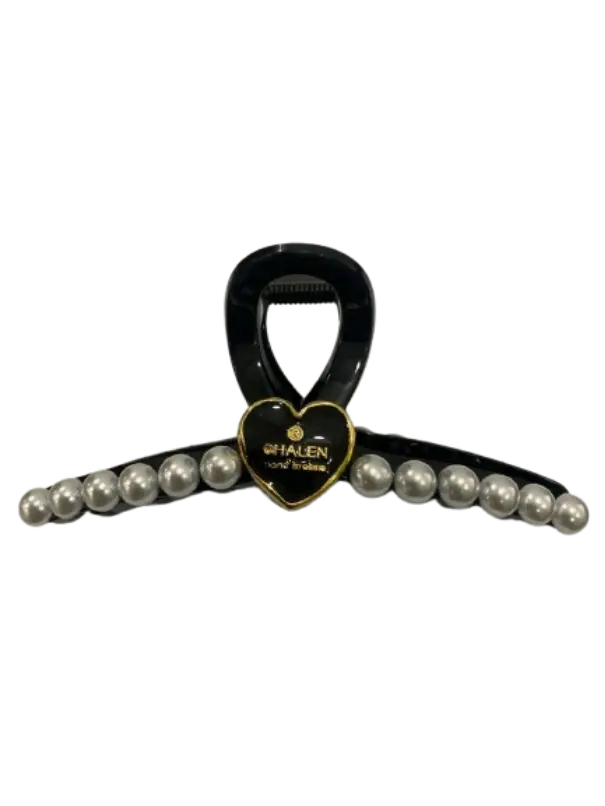 273-Chalen ដង្កៀបចាប់មានគុជព័ទ្ធជុំ