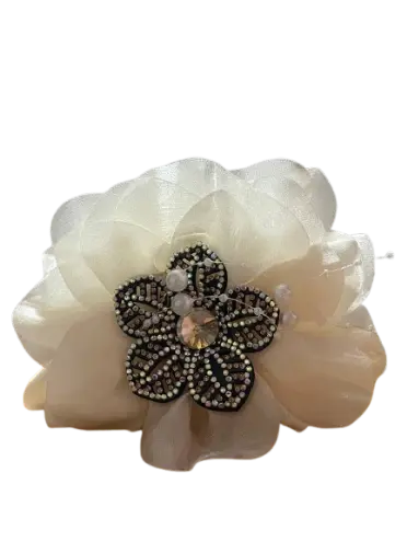 154-ដង្កៀបឃ្ទាស់&កៀបសក់ផ្កា5ជ្រុង